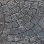 Carrera Oficial